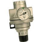 Metric, North American &amp; European Specifications (AR*25/35 Pilot Operated Regulator)